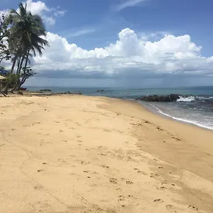  Apartment Brisas Del Mar 1/1 Front Beach